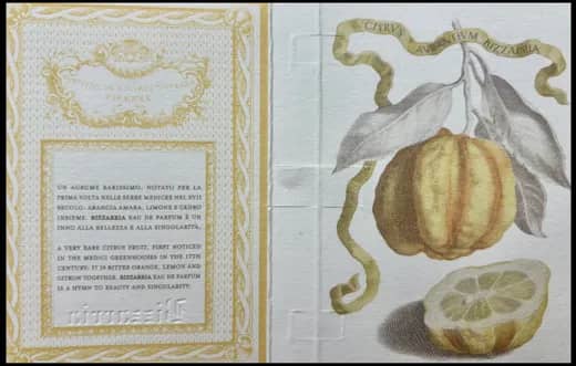 Travel memory: Time travelled to a perfumary