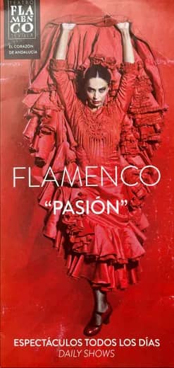 Travel memory: Saw a Flamenco show